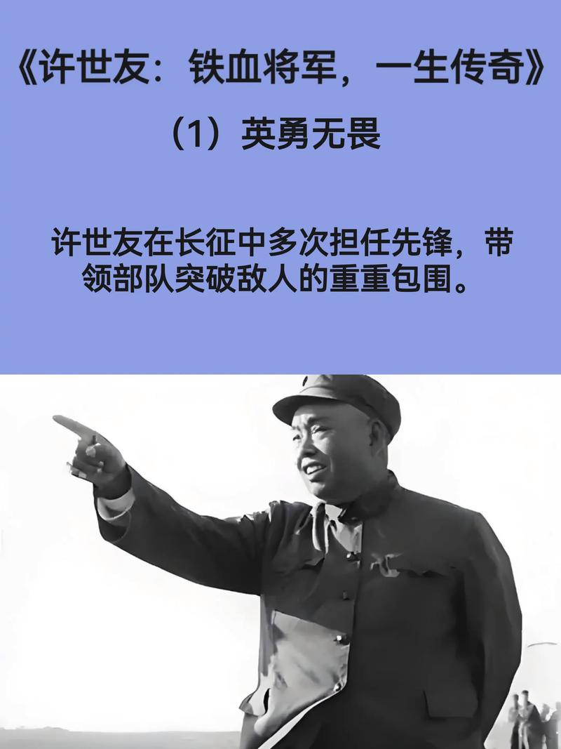 上将许世友电视剧未删除版_上将许世友在线观看_上将许世友高清下载